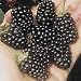 Black Satin Blackberries - Plants