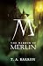 The Mirror of Merlin