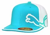 Puma Youth Monoline Flat Brim Cap (Cyan, OSFA)