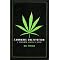2004 Cannabis Marijuana Weed Pot (Know Before You Grow!)
