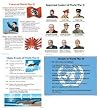 POSTER SET WORLD WAR 2 GR 4-9