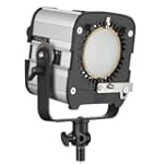 Hedler DX15 Continuous Halogen Light...