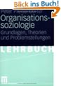 Organisationssoziologie: Grundlagen, Theorien und Problemstellungen