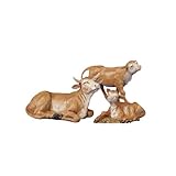 Return to product information