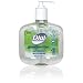 Dial 00213 Antibacterial Hand Sanitizer with Moisturizers and Skin Conditioners Pump, 16 oz, (Case of 8)