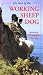 image 4 - The Year OF The Working Sheepdog