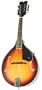 Dean Playmate A A-Style Acoustic Mandolin