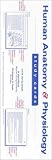 Human Anatomy & Physiology Study Cards