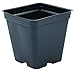 Square Greenhouse Pots 3.5 inch x 3.5 inch- Black - Plastic - Deep - Case of 450 by Growers Solution