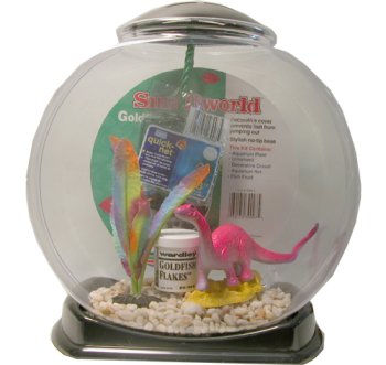 Buy Smallworld Goldfish Bowl Kit