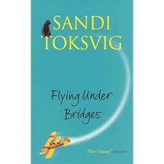 Flying Under Bridges