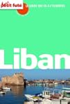 Liban 2012 (avec cartes, photos + avi...