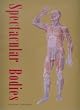 Spectacular Bodies: The Art and Science of the Human Body from Leonardo to Now