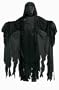 Harry Potter Dementor Child Costume (Small)