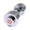 Reebok Chrome Dumbbell
