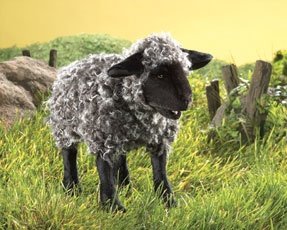 Childrens Toyshop  Toys : Black Sheep Puppet