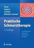 Praktische Schmerztherapie: Interdisziplin�re Diagnostik - multimodale Therapie