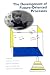Books : The Development of Future-Oriented Processes (The John D. and Catherine T. MacArthur Foundation Series on Mental Health and De)