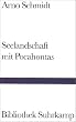 Seelandschaft mit Pocahontas (Bibliothek Suhrkamp)