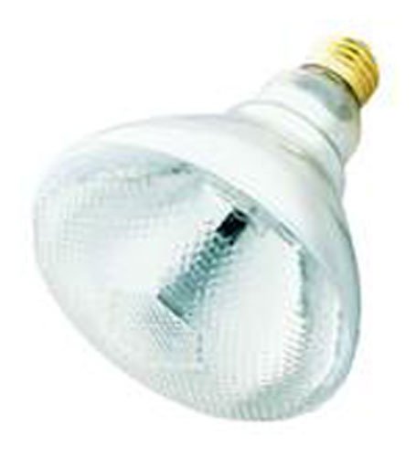 150 Watt Long Life Outdoor Flood Light Bulb / 20,000 Hour Incandescent / BR38 Shape (4.75 Diameter) / 150BR38 41Z38HFK5XL 150 Watt Long Life Outdoor Flood Light Bulb / 20,000 Hour Incandescent / BR38 Shape (4.75 Diameter) / 150BR38