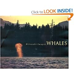 Mitsuaki Iwago's Whales