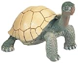 Tortoise