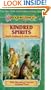 Kindred Spirits (Dragonlance: The Meetings Sextet, Vol. 1)