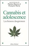 Cannabis et adolescence : Les liaisons dangereuses par Huerre