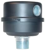 Solberg FS-10-050, Miniature Filter Silencer/Breather for Compressors & Blowers, 1/2