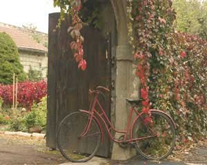 Red Bike Near Gate, Art Poster by Francisco Fernandez