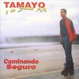 Caminando Seguro