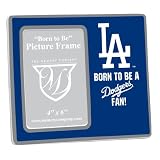 MLB Los Angeles Dodgers Youth Frame