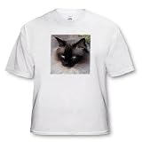 Cats - Siamese Cat - T-Shirts