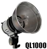 Pro studio photo video light quartz dynasun ql1000 w
