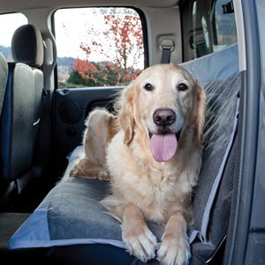 Dog About Quick-Fit Bench Seat Cover, 44-InchL by 61-InchW