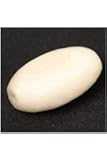 Egg Bead, Bone, 2 Pack