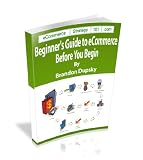41Z3aPlDFML. SL160  eCommerce Strategy 101 Beginners Guide to eCommerce   Before You Begin Reviews