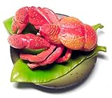 海洋堂 サッポロビール フィギュア版 沖縄物産展 SP シークレット ヤシガニ(ゆで)