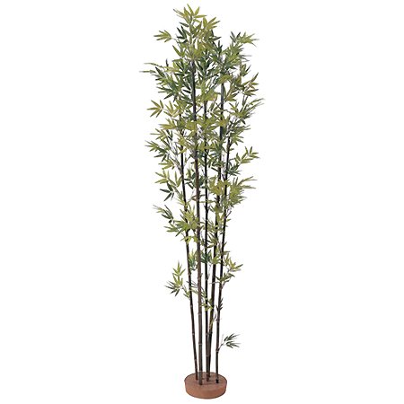 【人工植物】黒竹5本立　鉢無 1.5m