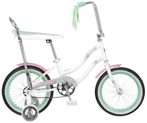 schwinn 16 inch bike