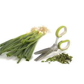Click here to buy Multi-Blade Herb Scissors - Green by RSVP International by RSVP.