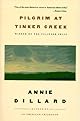 Pilgrim at Tinker Creek