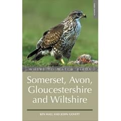 Where to Watch Birds in Somerset, Gloucestershire and Wiltsh