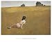 Christina's World Art Poster Print by Andrew Wyeth, 36x29