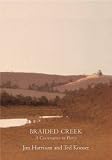 Braided Creek