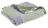 Lavender & Sage Raised Dot Sherpa Blanket