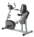 Horizon Elite H308 Hybrid Exercise Bike