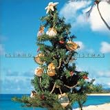 ISLAND STYLE CH