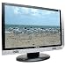 19-inch Widescreen (WXGA) TFT LCD Flat Panel Monitor (Silver and Black)