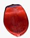Replacement Bladder Double End Bag Image